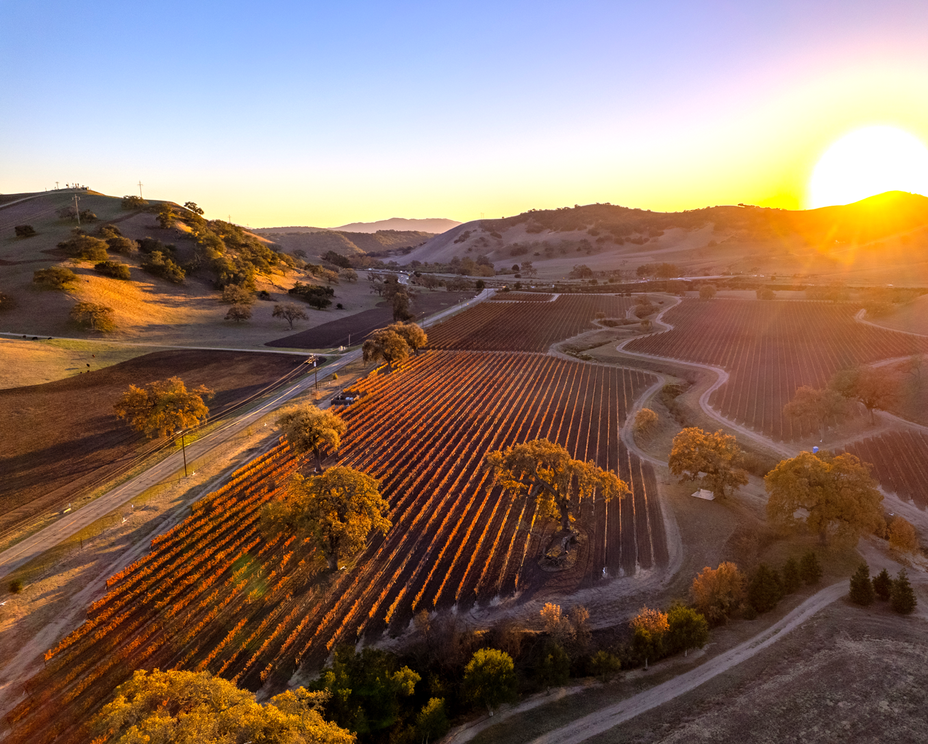 Santa Barbara County Named Wine Region of the Year