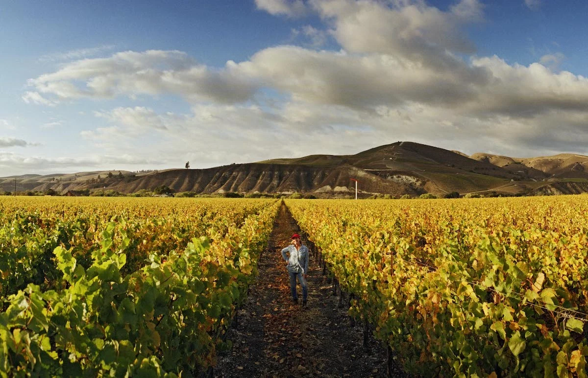 Historic Santa Barbara County Wine Properties Change Hands