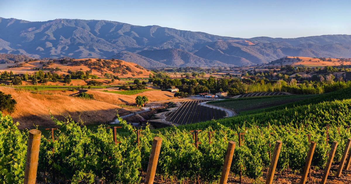 FORBES: Santa Barbara Is The Most Exciting Wine Destination In The U.S.