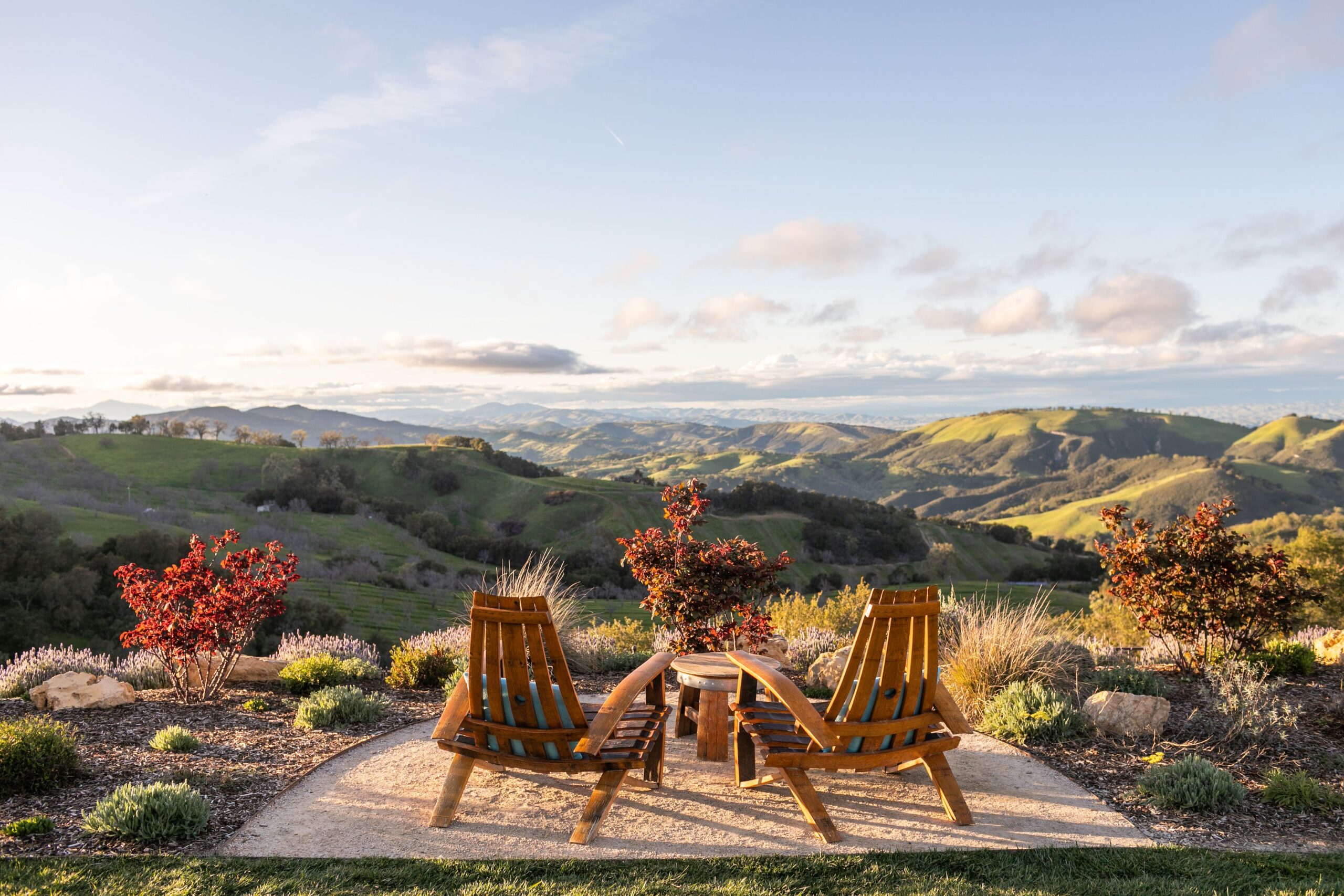 Paso Robles goes chic: 17 new things to do in the postcard-worthy town this fall