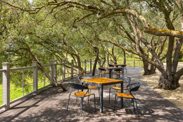 Calmere Estate Winery - MLS Web-15