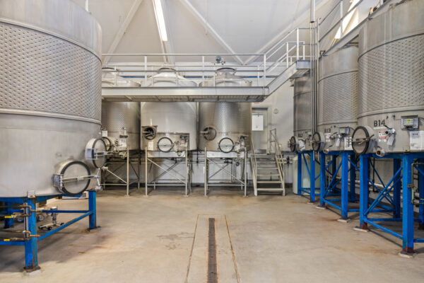 Calmere Estate Winery - MLS Web-61