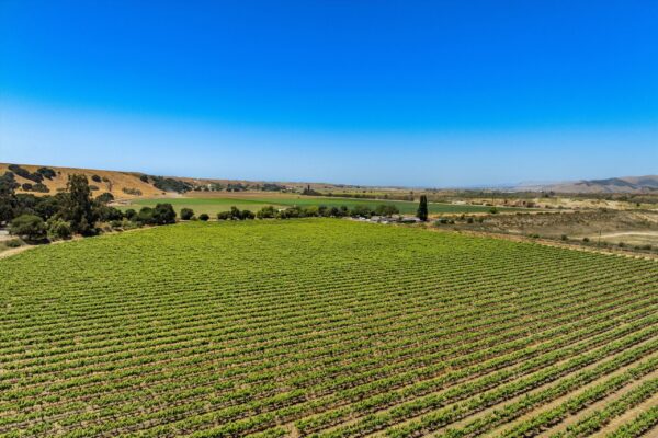 26-DJI_0365