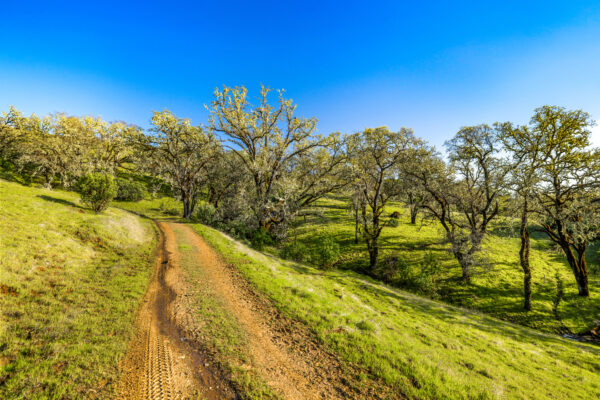 Eaglepoint Ranch MLS-32