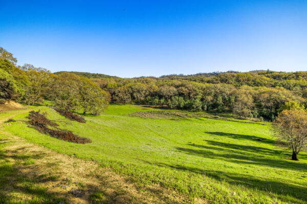 Eaglepoint Ranch MLS-37