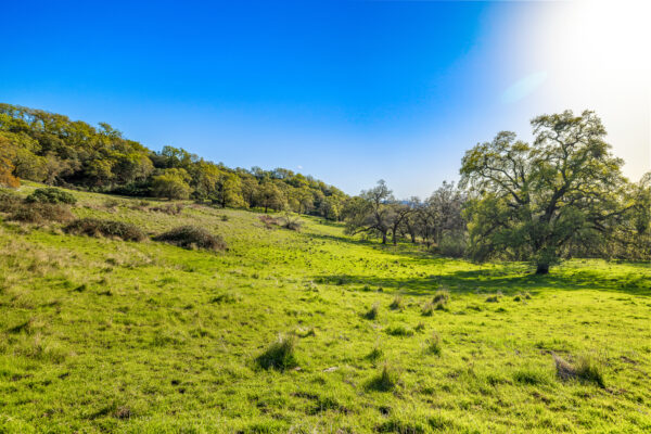 Eaglepoint Ranch MLS-38