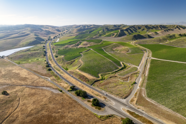 Loma Verde 2026 - Web-1