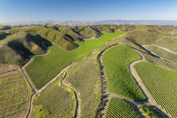 Loma Verde 2026 - Web-14