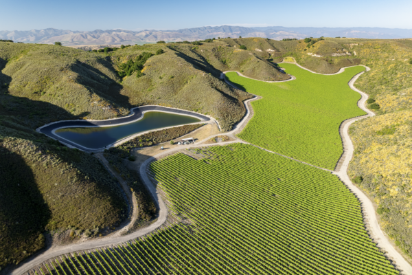 Loma Verde 2026 - Web-15