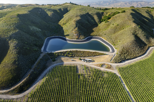 Loma Verde 2026 - Web-16