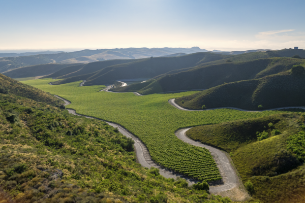 Loma Verde 2026 - Web-17