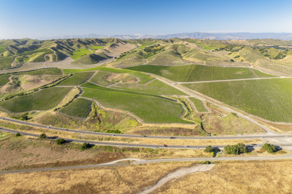 Loma Verde 2026 - Web-2