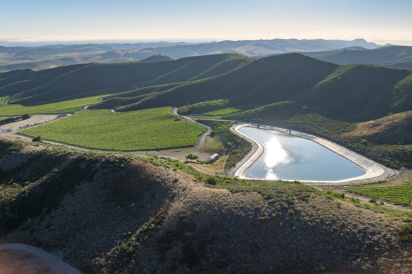 Loma Verde 2026 - Web-21