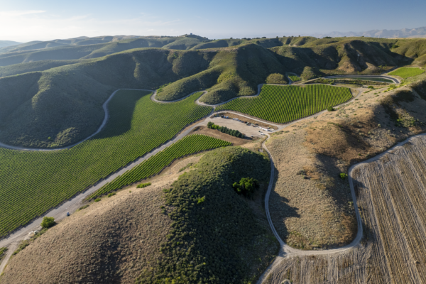 Loma Verde 2026 - Web-22