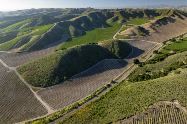 Loma Verde 2026 - Web-24