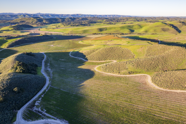 Loma Verde 2026 - Web-27