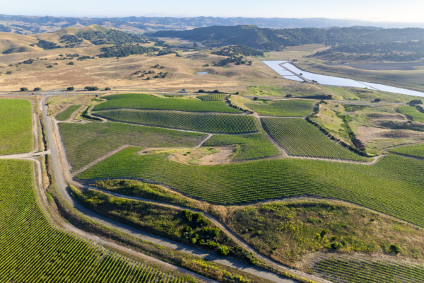 Loma Verde 2026 - Web-28