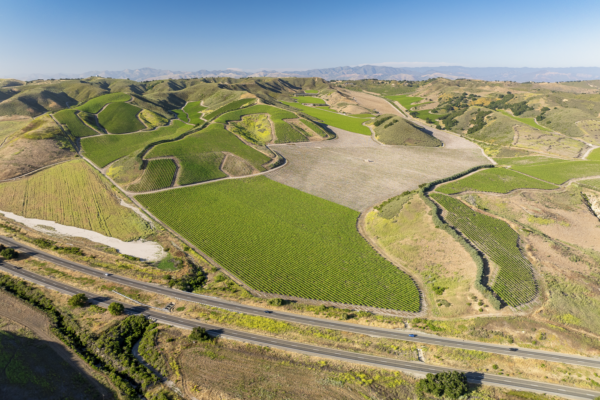 Loma Verde 2026 - Web-3