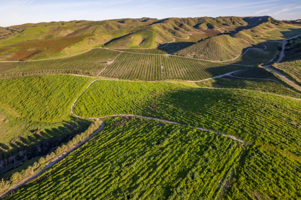 Loma Verde 2026 - Web-37