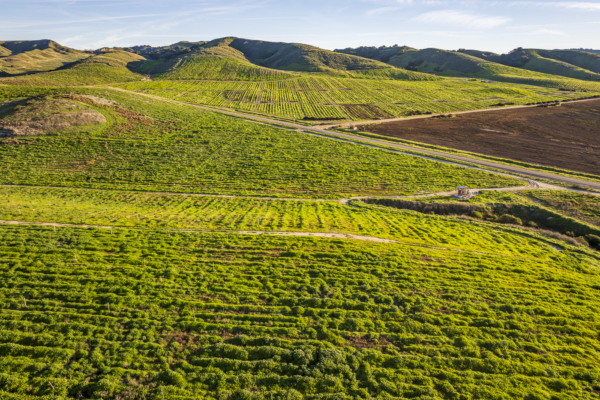 Loma Verde 2026 - Web-38