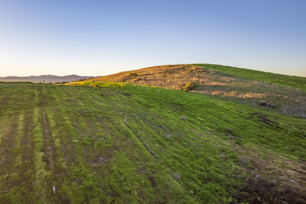 Loma Verde 2026 - Web-42