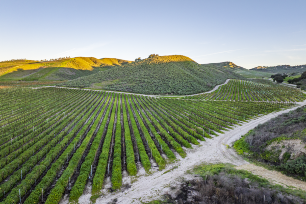 Loma Verde 2026 - Web-43
