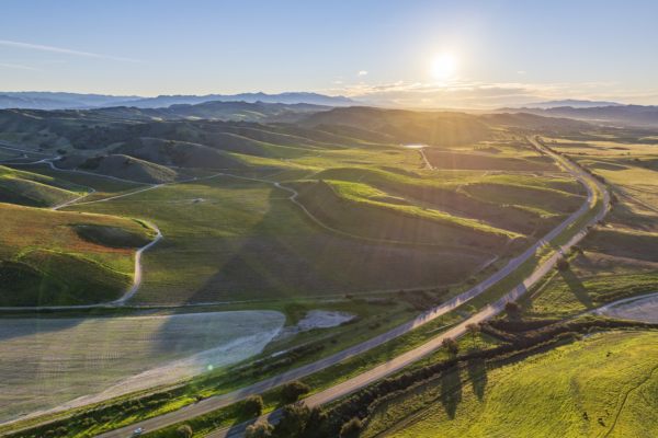 Loma Verde 2026 - Web-45