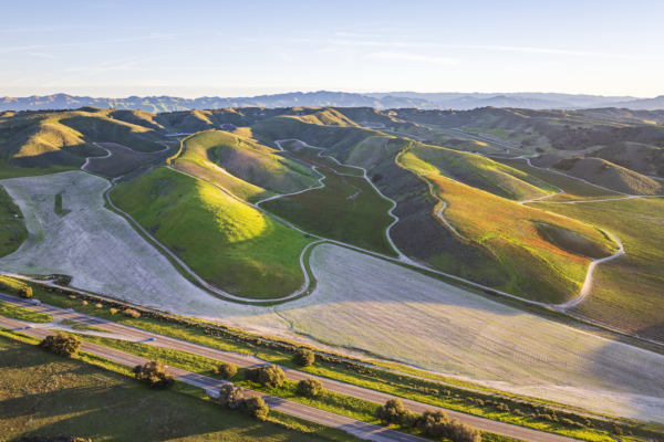 Loma Verde 2026 - Web-6